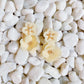 Sequin Double Bloom Flower Earrings