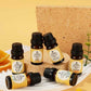 Pet-Friendly Aromatherapy Essential Oils Collection - Cedarwood, Chamomile, Frankincense, Ginger, Lavender, and Rosemary