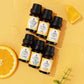 Pet-Friendly Aromatherapy Essential Oils Collection - Cedarwood, Chamomile, Frankincense, Ginger, Lavender, and Rosemary
