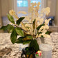 Freshly Preserved Eucalyptus Leaf Bunch