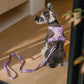 PADDED  ACTIVE  PET LEASH  - MINT GREEN