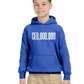CEO,OOO,OOO  Unisex Kids Hoodie