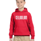 CEO,OOO,OOO  Unisex Kids Hoodie
