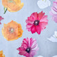Gift Wrap:  Cactus Flowers on Grey