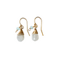 Jill Short Drop Earrings in Rainbow Moonstone with Chalcedony Drop