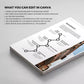 Downloadable Airbnb Business Plan