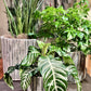 Gray Round Planter
