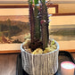 Gray Round Planter