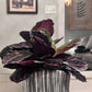 Gray Round Planter