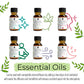 14 pack aromatherapy essential oil gift set