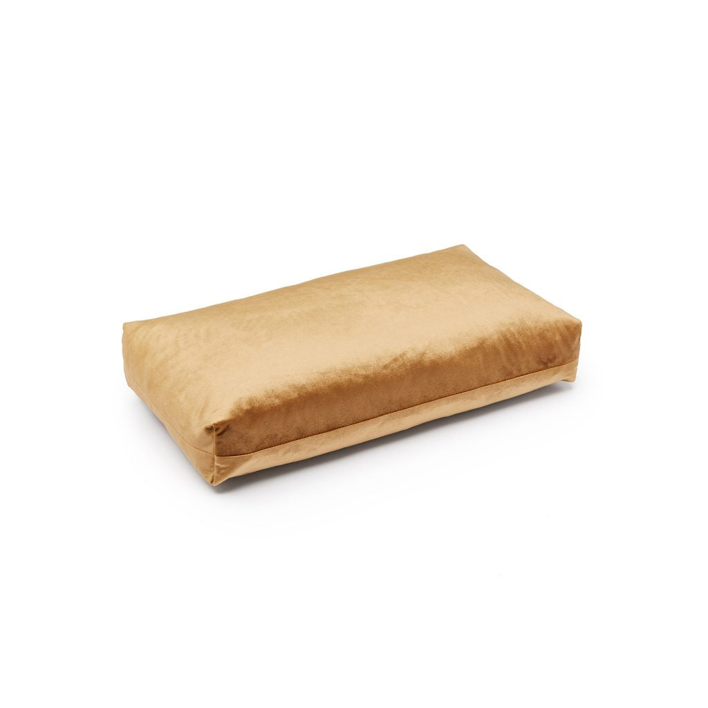CUSHION - PLUS