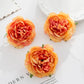 5 Stück Seidenpfingstrosen Kopf Wand Hochzeit Braut Accessoires Ausverkauf Geschenke Party Heim Dekor Weihnachtskranz Künstliche Rosen Blumen