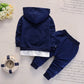 Neuer Frühling Herbst Baby Freizeit Trainingsanzug Kinder Jungen Mädchen Hoodies Hosen 2tlg/Sets Kinder Baumwollkleidung Säugling Mode Sportbekleidung