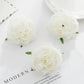 5 Stück Seidenpfingstrosen Kopf Wand Hochzeit Braut Accessoires Ausverkauf Geschenke Party Heim Dekor Weihnachtskranz Künstliche Rosen Blumen