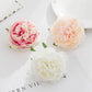 5 Stück Seidenpfingstrosen Kopf Wand Hochzeit Braut Accessoires Ausverkauf Geschenke Party Heim Dekor Weihnachtskranz Künstliche Rosen Blumen