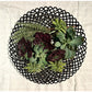 14" Washer Bowl