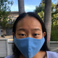 Made in LA Reversible Face Mask