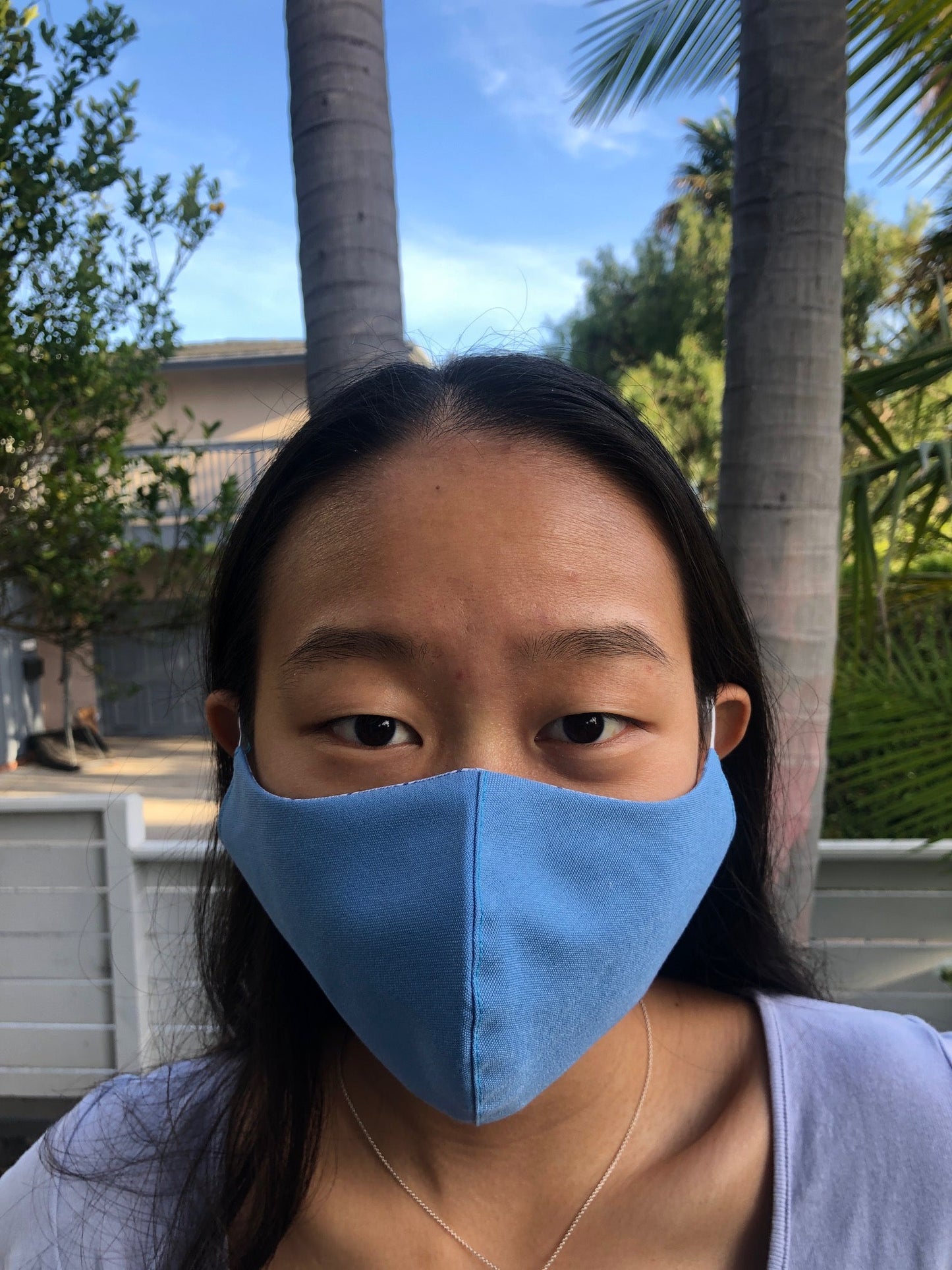 Made in LA Reversible Face Mask