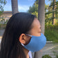 Made in LA Reversible Face Mask