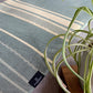 Equinoccio Throw Blanket - Mint / Natural