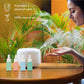 Eco-Friendly Laundry & Wellness Bundle – Detergent Sheets, Wool Dryer Balls, and Essential Oils