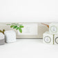Earthy Shower Steamer, Refreshing Gift Box for Men and Women, Set of 5 Shower Steamers