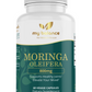 Organic Moringa Oleifera - Ancient Discovery
