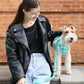 PADDED  ACTIVE  PET LEASH  - MINT GREEN