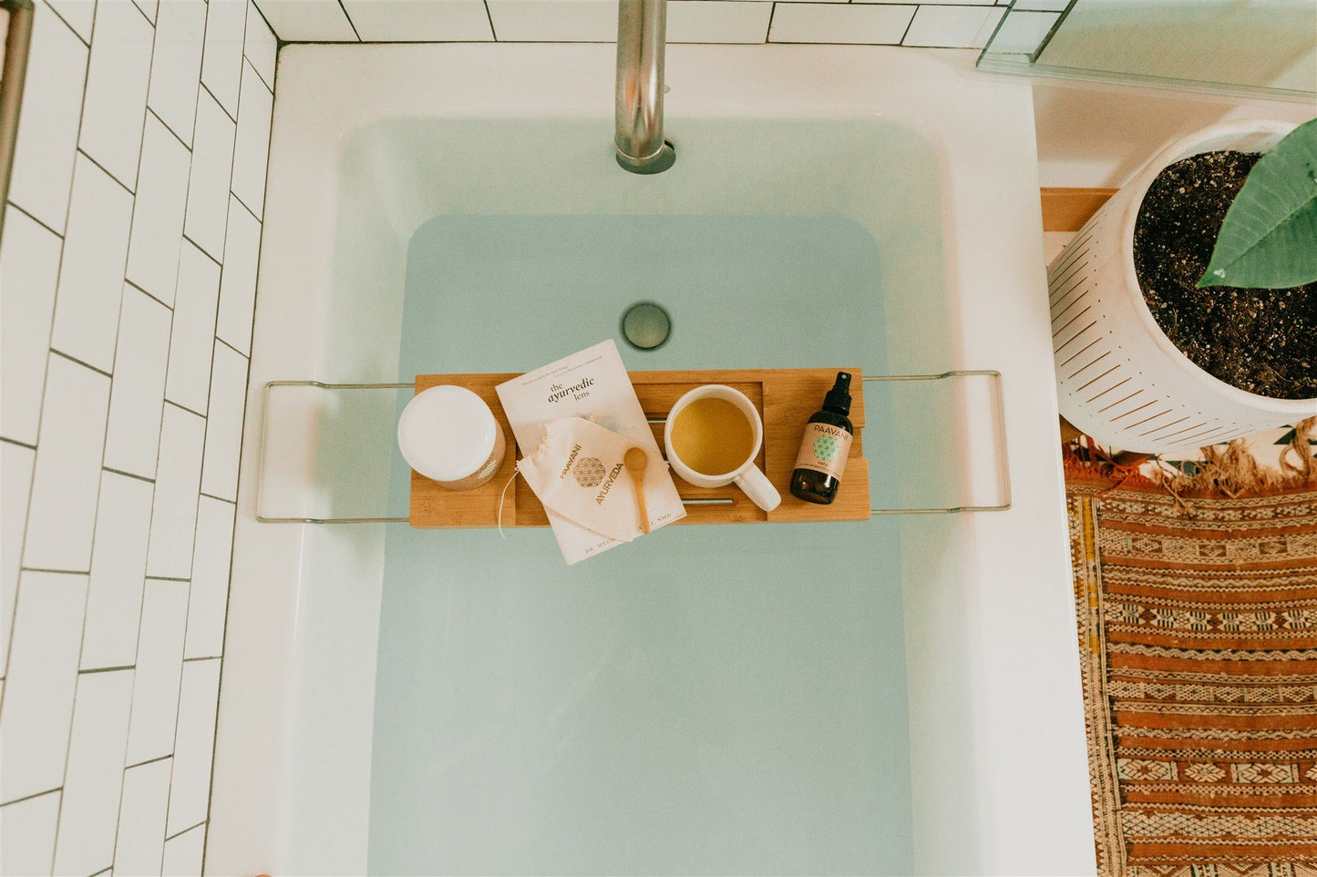 The Ayurvedic Lens | Magnifying the Mysteries & Abundance of Life