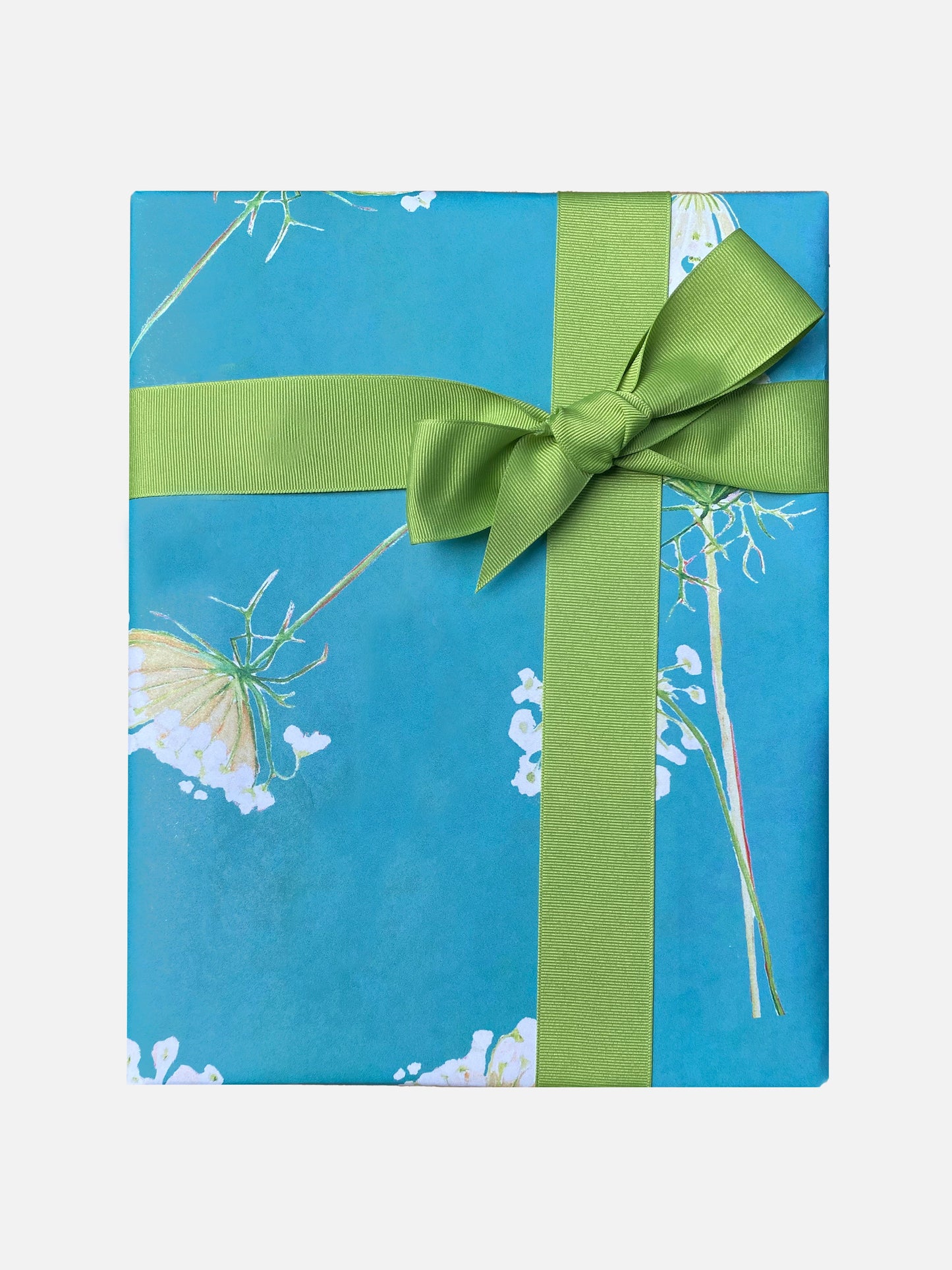 Gift Wrap:  Queen Anne's Lace on Teal