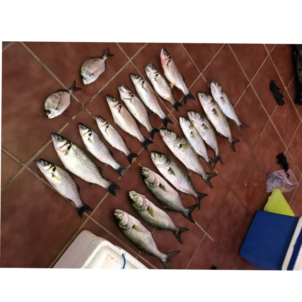 SUNMILE 30pcs 0.3g 35mm Eel Soft Fishing Lure Pesca Peche Tackle Wobblers Fish Lures Carp Leurre Souple Soft baits