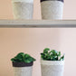 Agora Plant Basket - White