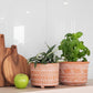 Hand Etched Terracotta Pot - Small