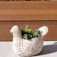 Terracotta Pot - Spotted Dove