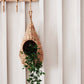 Savar Pot Planter
