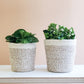 Agora Plant Basket - White