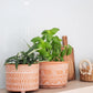 Hand Etched Terracotta Pot - Small