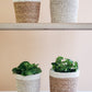 Agora Plant Basket - White