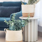 Savar Basket with Side Handle
