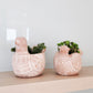 Terracotta Pot - Spotted Dove