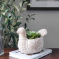 Terracotta Pot - Spotted Dove