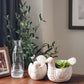 Terracotta Pot - Spotted Dove