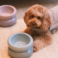 Soufflé Pet Bowl - Frozen Blue