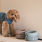 Soufflé Pet Bowl - Frozen Blue