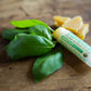Sweet Basil 3-Pack