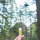 Lemongrass 3-Pack