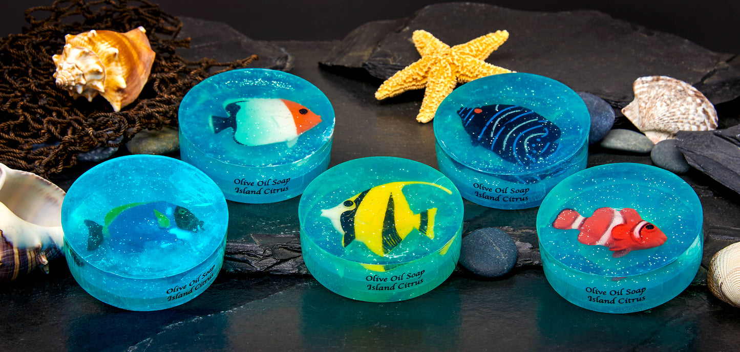 Fish Soap-Island Citrus