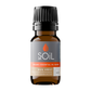 Bug Away - Organic Essential Oil Blend 10ml