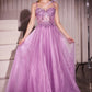 Lace & Tulle A-Line Dress