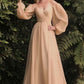 Long Sleeve Chiffon A-Line Dress
